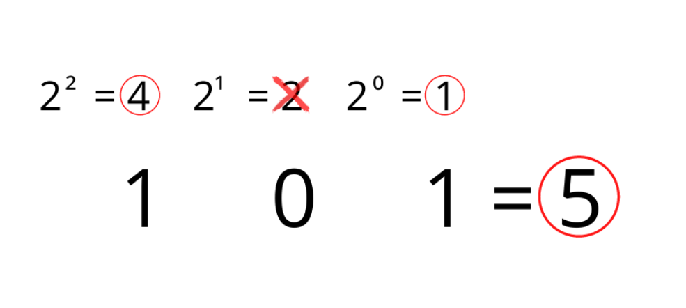 Base converter tool interface showing binary to decimal conversion of 101 to 5 for digital computing tasks.